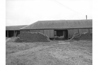 Tarrasfoot Tileworks
View of drying sheds, from E