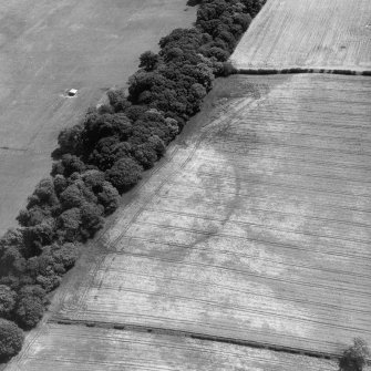 Conhuith Plantation, oblique aerial view, taken from the WNW, centred on the cropmarks of two settlement enclosures.