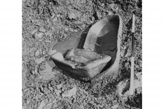 View of wooden troughs/bowls as found buried in brushwood foundation layer during the excavation of Loch Glashan crannog in 1960.