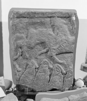 View of Drainie no.13 cross slab fragment on display in Elgin Museum.