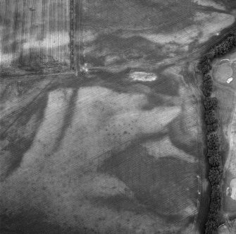 Westerton, oblique aerial view, taken from the SSE, centred on the cropmarks of a rectangular pit-defined enclosure.