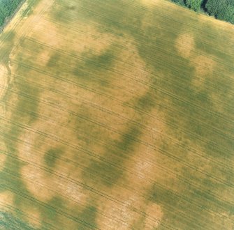 Aldourie Farm, oblique aerial view, taken from the SW, centred on the cropmarks of an enclosure and two pit-circles.