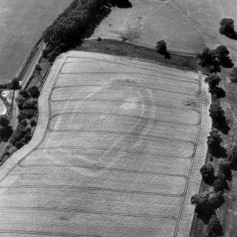 Riddell, oblique aerial view, taken from the NE, centred on the cropmarks of a fort.