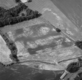 Millhaugh, oblique aerial view, taken from the ESE, centred on a field containing cropmarks including those of an enclosure, ring-ditch, pits and rig.