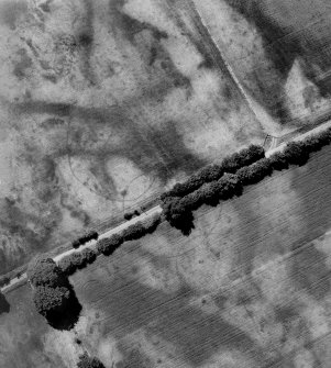 Oblique aerial view digitally enhanced: cropmarks emphasised.