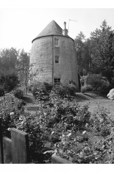 Edgehead, 'The Old Windmill'
View