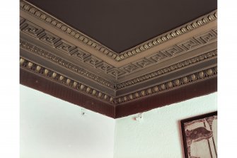 22 Royal Circus, interior
Detail of cornice in former dining room