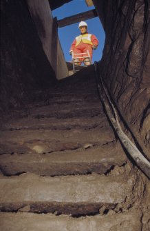 View up upper flight of ladder steps.