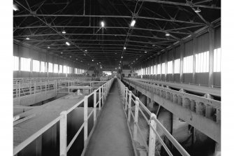 Glasgow, General Terminus Quay, Loading Shed; Interior
View of conveyors on top floor