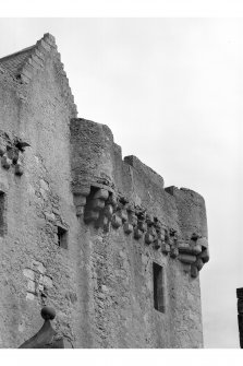 Saddell Castle
Detail of parapet on north side of tower-house