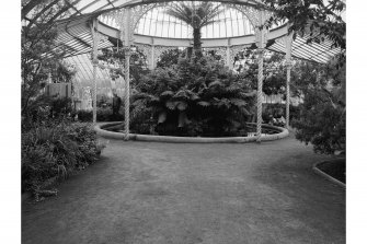 Interior.
General view showing plants and cast-iron columns and brackets.