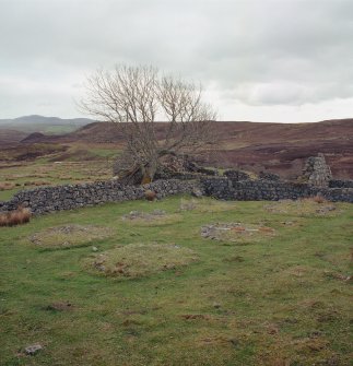 Grumby farmstead: view from NW corner of stackyard to N of main range, with detail of stack stands