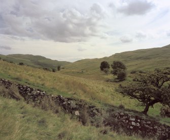 The remains of the dyke commissioned from Nicol McAleister and built between July and August 1758, can  be seen in this ground view which looks SE down towards the steading at Loss.  The stone outer face of the dyke, which is fronted by a ditch, is plainly visible. Scanned for Menstrie Glen publication