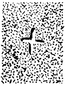 Scanned image of drawing showing carved cross on St Molaise's Table, Holy Island, Arran
Page 63, figure C of 'Gazetteer of Early Medieval Sculpture in the West Highlands and Islands'