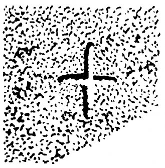 Scanned image of drawing showing carved cross on St Molaise's Table, Holy Island, Arran
Page 63, figure E of 'Gazetteer of Early Medieval Sculpture in the West Highlands and Islands'