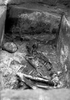 View of excavated skeleton.