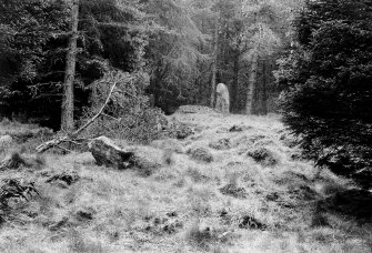 Central cairn, recumbent stone, pillar and fallen stone, viewed from the east.
Original negative captioned: 'Stone Circle at Whitehill wood, Monymusk, June 1906 / View from East Side showing fallen stone and inner rampart, Recumbent Stone and pillar'.