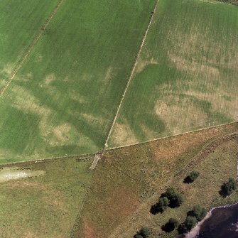 Aerial photograph showing the cropmarks of a group of round and square barrows, on the south-east bank of the River Spey near Boat of Garten.