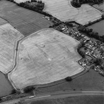 Muirhouses and Drum, oblique aerial view, taken from the SW, centred on the cropmarks of a Roman Temporary Camp and possible souterrain.