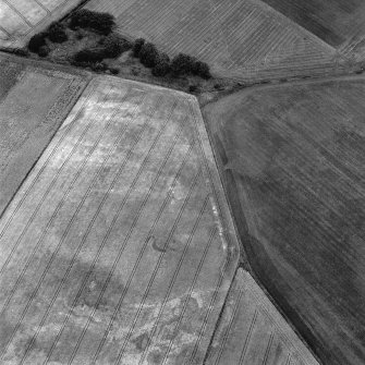 Middleton, oblique aerial view, taken from the SSW, centred on the cropmarks of two souterrains.