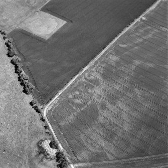 Aerial view of Doon Hill, taken from the SSW, centred on a cropmark of a rectilinear enclosure.  A cropmark of a possible palisaded enclosure, situated to the N, is visible in the centre left of the photograph.  A timber hall encloure, also to the N, is visible in the top left-hand corner of the photograph.