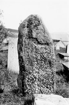 View of reverse of Pictish symbol stone. 
Original negative captioned: 'Migvie Sculptured Stone, (Back) Aug 1903'.