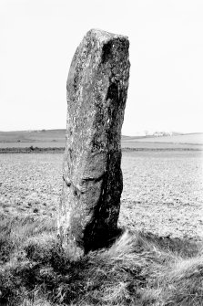 View of ogam-inscribed standing stone.
Original negative captioned: 'Auquhollie Ogham inscribed stone near Stonehaven June 1917'.