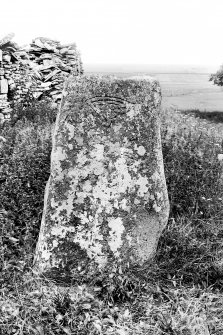 View of cross-slab.
Original negative captioned: 'Sculptured Stone (Cross) at Skinnet, Halkirk, Caithness July 1906'.