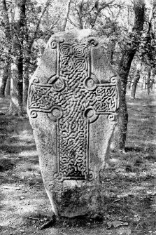 View of cross-slab.
Original negative captioned: 'Sculptured Cross near Aboyne Castle August 1903'.