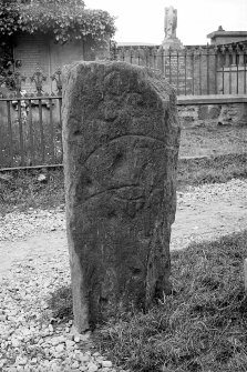 Pictish symbol stone standing in kirkyard. View of reverse, showing three circles, crescent and V-rod, and cup-marks.
Half-plate glass negative.
