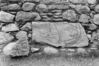 View of two fragments of Pictish symbol stones (Clatt nos.2 and 3).
Original negative captioned: 'Sculptured Stone in West Wall of Clatt Churchyard Sep 1905 Size of stone 34 x 15 inches also fragment of sculptured stone formerly discovered by Mr. Macdonald in churchyard'.
