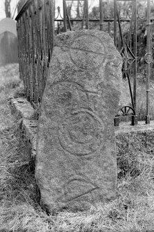View of Pictish symbol stone standing beside railed burial enclosure in kirkyard.
