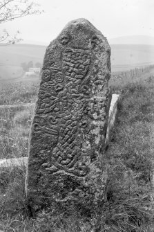 Pictish cross-slab.
Original negative captioned: 'Sculptured Stone (Front) in Migvie Churchyard July 1904'.