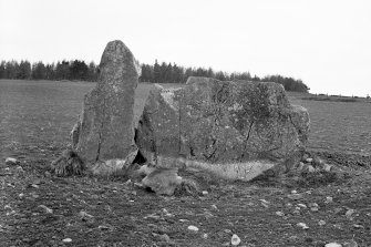 View of recumbent stone and flanker from the south.
Original negative captioned 'Remains of Stone Circle at Westerton (near Cairnton) Forgue April 1906 View from South'.