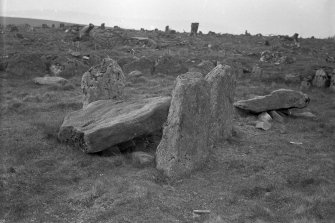 View of cist.
Original negative captioned: 'Whitecow Wood Circle near Mintlaw. Cist in centre. Formerly covered by cairn now removed. 1907.'.