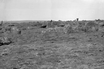 General view.
Original negative captioned: 'White Cow Wood Circle near Mintlaw / 1907'.