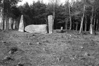 General view from the south.
Original negative captioned: 'Cothiemuir Stone Circle near Castle Forbes, Keig 1908'.