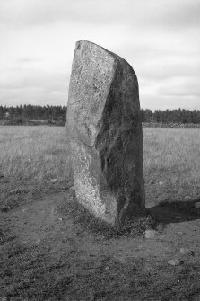 View of standing stone.
Original negative captioned 'Standing Stone. Remains of Circle, at Peathill near Kinmuck. August 1910.'.

