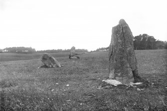 General view from the east.
Original negative captioned: 'Wester Echt. Remains of Circle, 3 stones, viewed from East side. July 1902'.