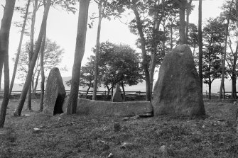 View of recumbent stone and flankers.
Negative captioned 'Sunhoney Circle near Echt. Recumbent Stone and Pillars viewed from outside circle looking North July 1902'.