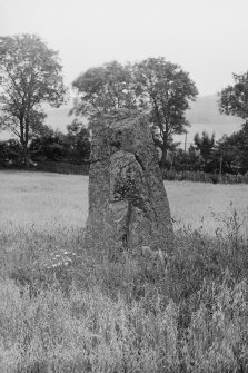 Standing stone, possibly part of stone circle.
Original negative captioned 'Standing Stone at Waterside, Newbigging, Glenkindy July 1911'.