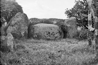 View of recumbent stone and flankers.
Original negative captioned: 'Netherton of Logie Circle near Lonmay from inside circle 1908'.