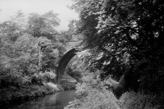 View showing bridge behind trees