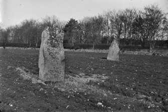 Standing stones in field, near circle.
Negative captioned: "February 1903 Pillars in field to the East of Stone Circle at West Mains Castle Fraser."