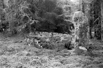 Recumbent stone and flanker.
Negative captioned 'Stone Circle in wood at Whitehills near Monymusk. Recumbent Stone and Pillars viewed from centre of circle, looking South. 1902'.