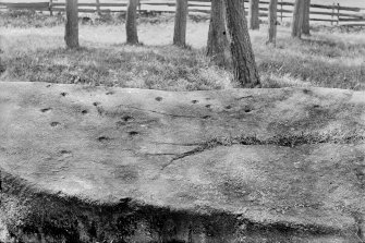 Close-up of cup marks on the recumbent stone.
Negative captioned 'Cup marks on Recumbent Stone, Sunhoney Circle near Echt 1904'.
