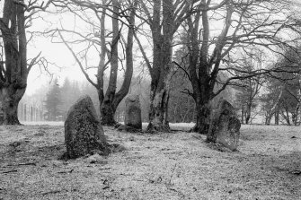 General view.
Original glass negative captioned 'Remains of Stone Circle in Deer Park, Monymusk March 1902'.