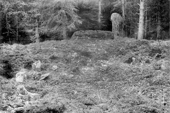 View of recumbent and flanker.
Print card captioned: 'Also called Tillyfourie.'
Negative, captioned 'Stone Circle at Whitehills, Monymusk, March 1902 / Stone Circle in wood near Whitehills, Monymusk, showing Recumbent Stone, Pillars, Ridge & Stone Setting'.