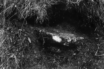 Photograph of partially exposed slab.
Original negative captioned 'Cist in cutting on road at Sheldon Farm Bourtie 1902'.