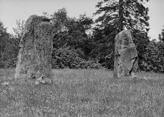 View of two standing stones.
Original negative captioned: 'Two Pillars, remains of Circle at Druidstones, Alford June 1904'.